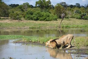 Shumbalala Game Lodge