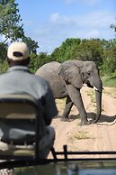 Shumbalala Game Lodge