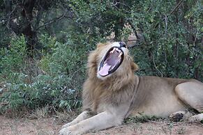 Shumbalala Game Lodge