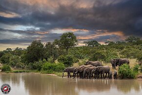 Shumbalala Game Lodge