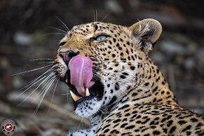 Shumbalala Game Lodge