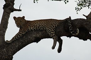 Shumbalala Game Lodge