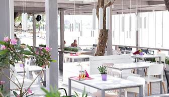Gaea Gardens Studios
