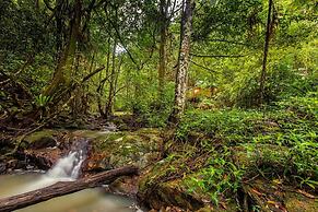 Narrows Escape Rainforest Retreat