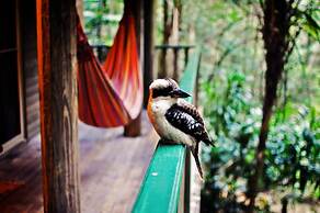 Narrows Escape Rainforest Retreat