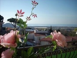 Casafort
