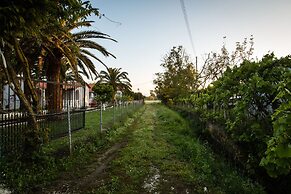 Paradise Village
