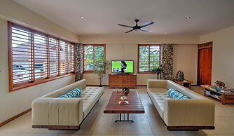 Maui Palms