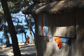 Pine Beach Bungalows – all inclusive