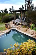 Addo Dung Beetle Guest Farm