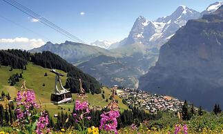 Jungfrau Hotel