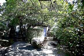 Les Cèdres