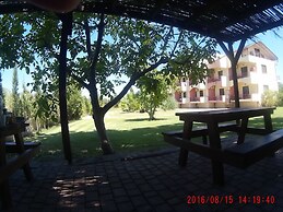 Aenaon Studios