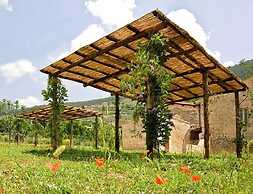 Borgo della Marmotta - Farm Home