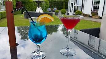 Plas Hyfryd Hotel