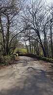 Meadow Oak
