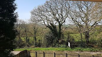 Meadow Oak