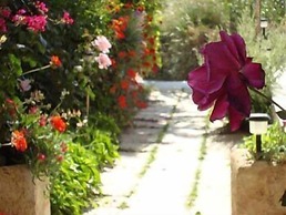 Creta Sun Hotel Studios