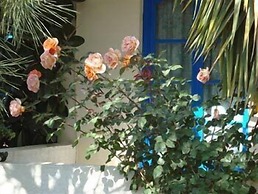 Creta Sun Hotel Studios