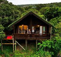 Thunzi Bush Lodge