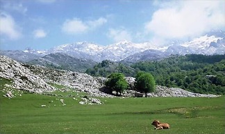 Camangu