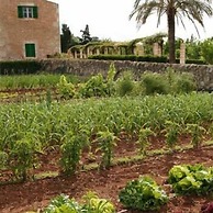Hotel Rural Son Bernadinet
