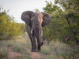 Mohlabetsi Safari Lodge