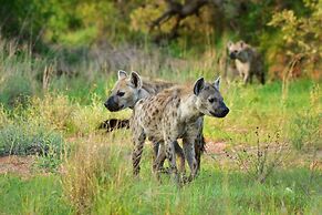 Mohlabetsi Safari Lodge