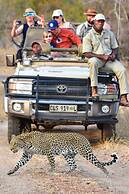 Mohlabetsi Safari Lodge