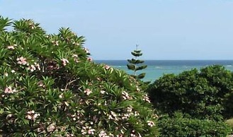 Tijara Beach