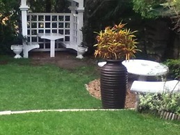 Albatross Guest House