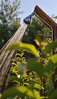 Il Viaggio Verde