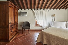 Boschi di Montecalvi