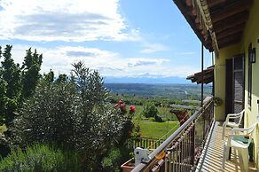 Tra Monti e Vigne