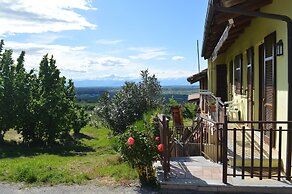 Tra Monti e Vigne