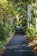 Pethers Rainforest Retreat