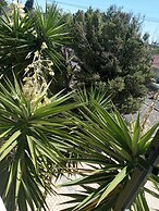 La Roche Guest House