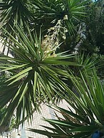 La Roche Guest House