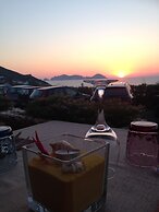 Hotel Ortensia