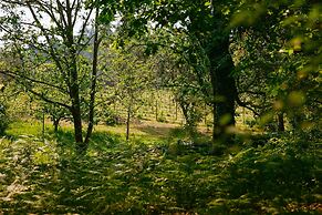 Quinta da Bouça d'Arques