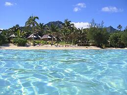 Palm Grove