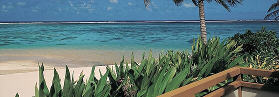 Palm Grove