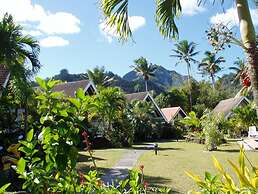 Palm Grove