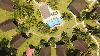 Palm Grove