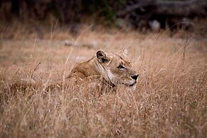 Tshukudu Game Lodge
