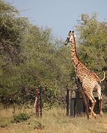 Tshukudu Game Lodge