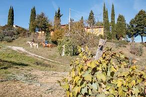 Podere dell'Anselmo