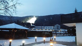 Boutique hotel Pohorje