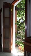 Hotel Casa del Arbol