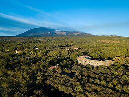 Bosco Ciancio